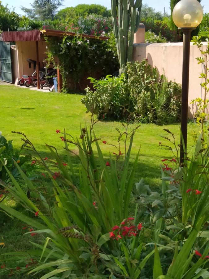 Villa Favilli Pisa Kültér fotó