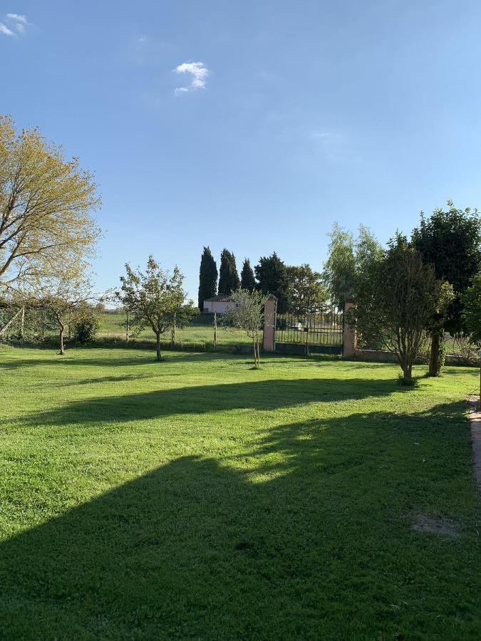 Villa Favilli Pisa Kültér fotó