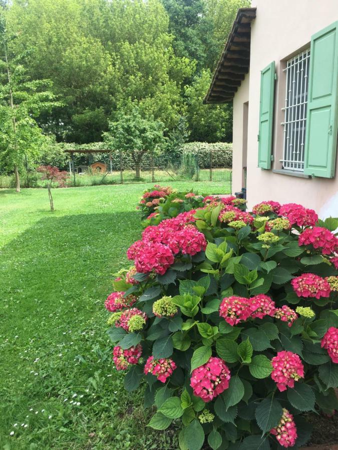 Villa Favilli Pisa Kültér fotó